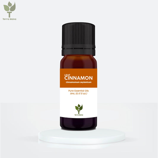 Cinnamon Essential Oil